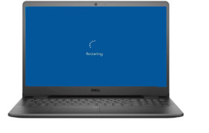 Dell Laptop Blue Screen Error in Patna 
