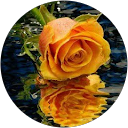 vishal gupta profile picture